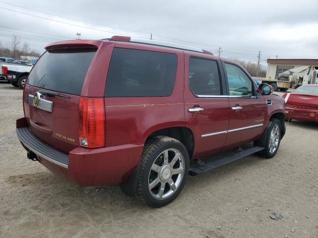 2008 Cadillac Escalade Luxury