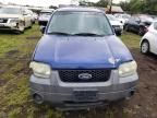 2005 Ford Escape XLS