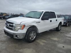 Ford salvage cars for sale: 2013 Ford F150 Supercrew