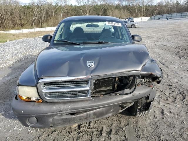 2004 Dodge Dakota SXT