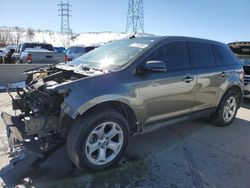 Ford salvage cars for sale: 2013 Ford Edge SEL