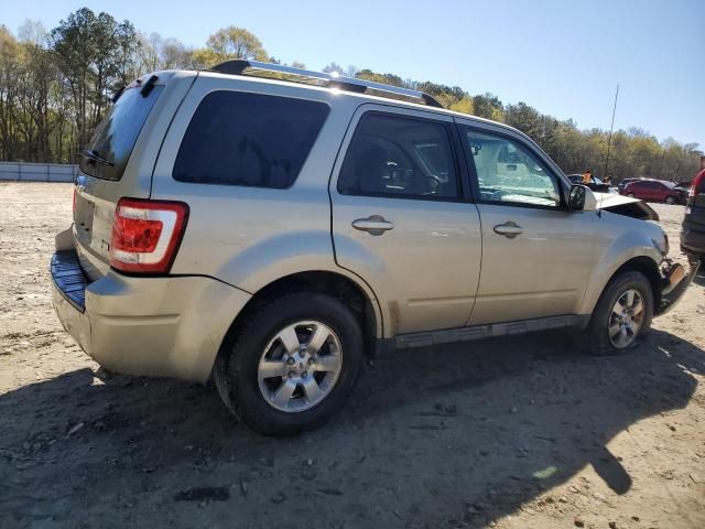 2010 Ford Escape Limited