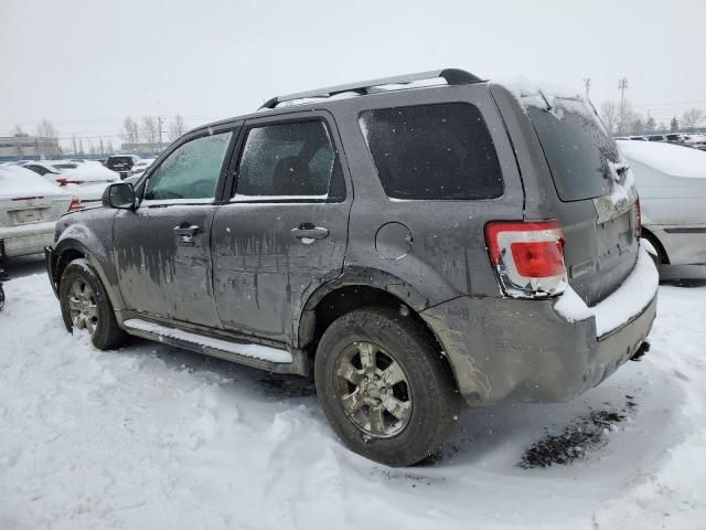 2009 Ford Escape Limited