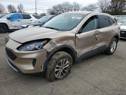 Salvage cars for sale from Copart Moraine, OH: 2021 Ford Escape SE
