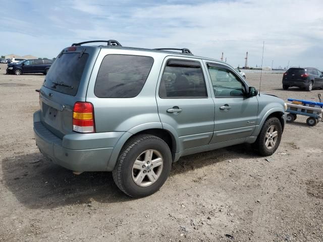 2006 Ford Escape HEV