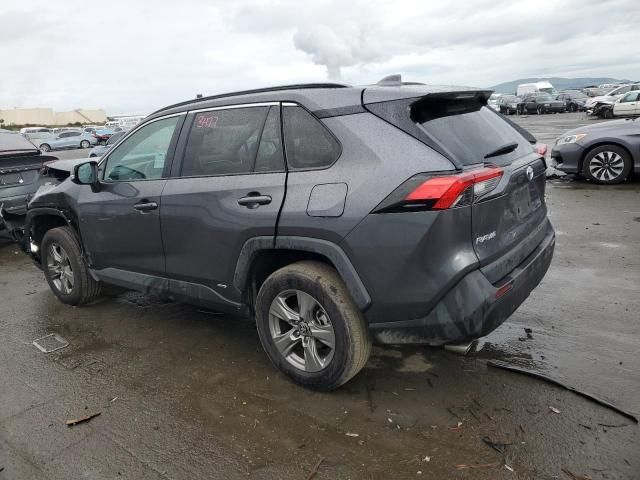 2023 Toyota Rav4 XLE