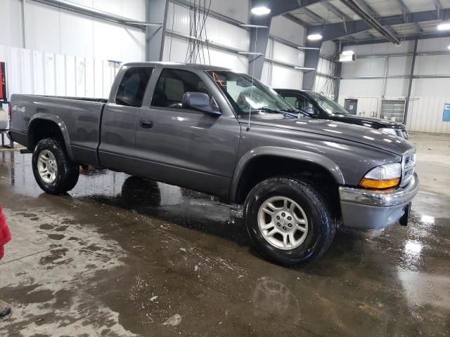 2004 Dodge Dakota SLT