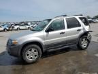 2006 Ford Escape XLT