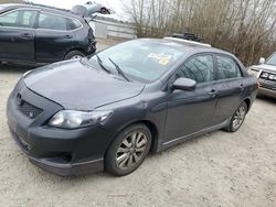 2009 Toyota Corolla Base en venta en Arlington, WA