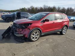 Salvage SUVs for sale at auction: 2016 Ford Escape SE