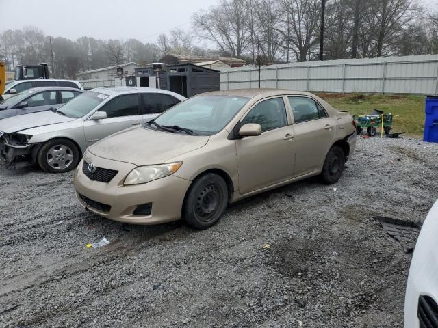 2010 Toyota Corolla Base