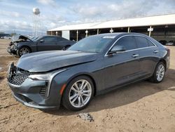 Salvage cars for sale at Phoenix, AZ auction: 2020 Cadillac CT4 Luxury