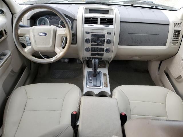 2008 Ford Escape XLT