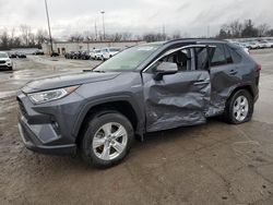 Salvage cars for sale at Fort Wayne, IN auction: 2021 Toyota Rav4 XLE