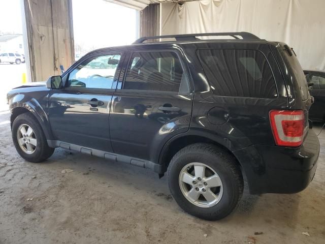 2012 Ford Escape XLT