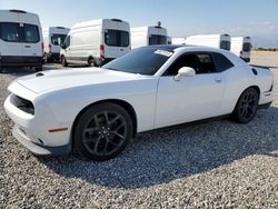 Salvage cars for sale at Mentone, CA auction: 2019 Dodge Challenger GT