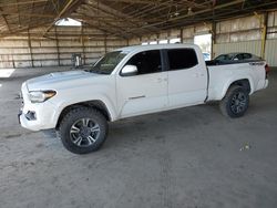 Salvage cars for sale at Phoenix, AZ auction: 2020 Toyota Tacoma Double Cab