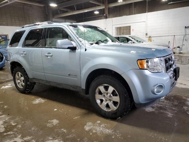 2009 Ford Escape Hybrid