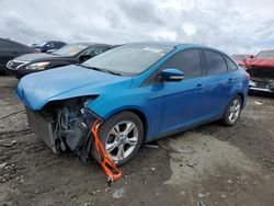 Salvage cars for sale from Copart Earlington, KY: 2013 Ford Focus SE