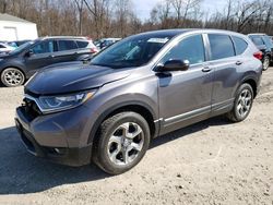 Salvage cars for sale at Northfield, OH auction: 2019 Honda CR-V EXL