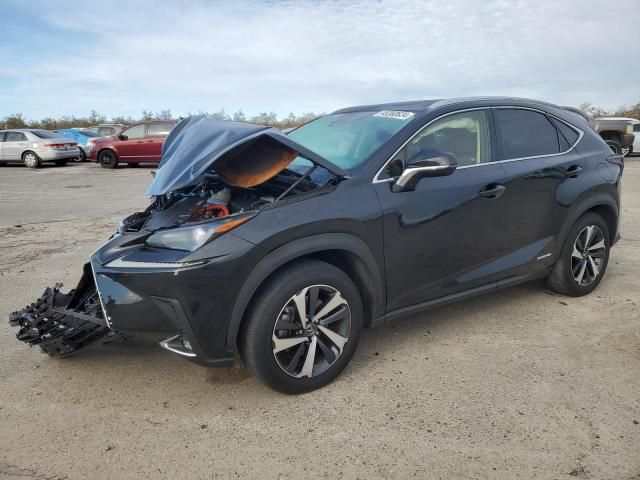 2021 Lexus NX 300H Base