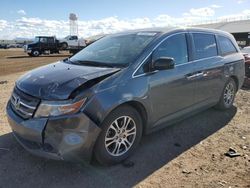 Salvage cars for sale at Phoenix, AZ auction: 2013 Honda Odyssey EXL