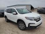 2022 Honda Pilot EXL