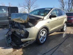 Vehiculos salvage en venta de Copart Bridgeton, MO: 2013 Ford Escape SE