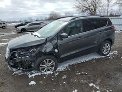 Salvage cars for sale from Copart Ontario Auction, ON: 2017 Ford Escape SE