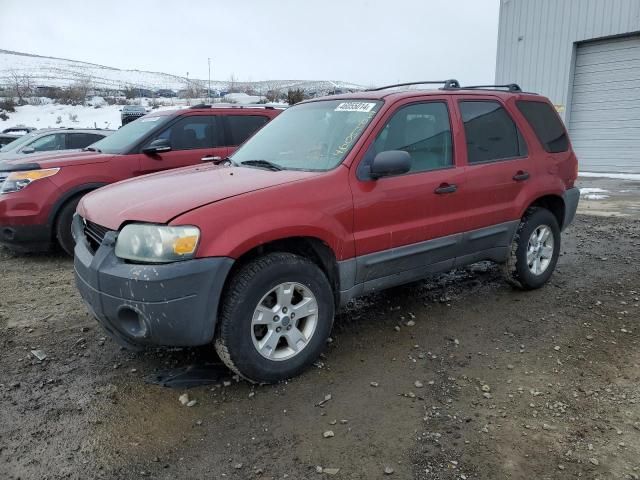 2005 Ford Escape XLT