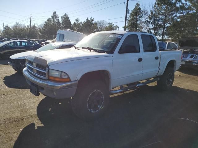 2001 Dodge Dakota Quattro