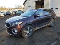 KIA Sorento EX Vehiculos salvage en venta: 2016 KIA Sorento EX