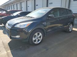 Salvage cars for sale at Louisville, KY auction: 2015 Ford Escape SE