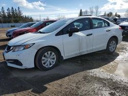 Honda salvage cars for sale: 2015 Honda Civic DX