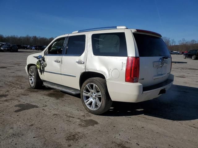 2010 Cadillac Escalade Luxury