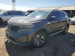 Salvage cars for sale at Phoenix, AZ auction: 2023 KIA Sorento EX