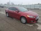 2014 Ford Fusion SE Phev