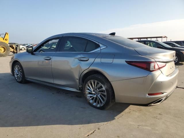 2019 Lexus ES 350