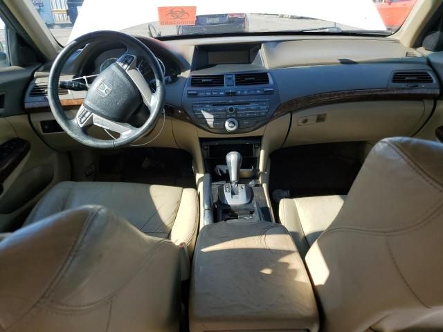 2010 Honda Accord EXL