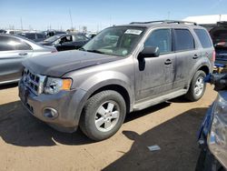 Salvage cars for sale at Brighton, CO auction: 2012 Ford Escape XLT