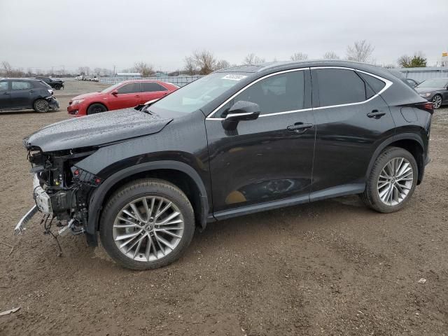 2024 Lexus NX 350H Base