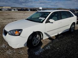 Chevrolet Malibu Vehiculos salvage en venta: 2006 Chevrolet Malibu Maxx LT