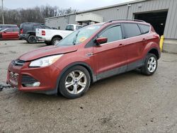 Ford salvage cars for sale: 2014 Ford Escape SE