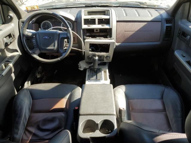 2008 Ford Escape XLT