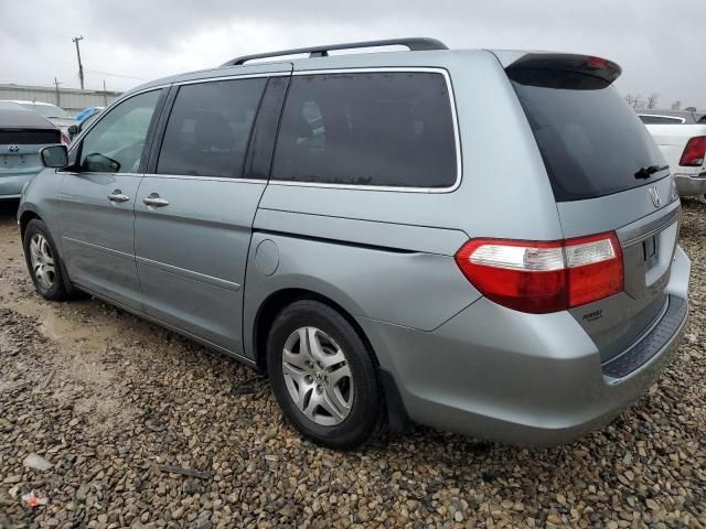 2005 Honda Odyssey EXL