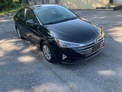 Hyundai Elantra SE salvage cars for sale: 2019 Hyundai Elantra SE