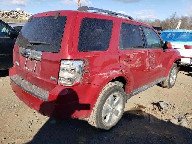 2011 Ford Escape Limited