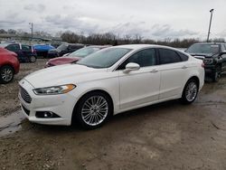 Ford salvage cars for sale: 2014 Ford Fusion SE