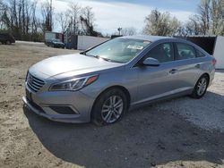 Salvage cars for sale at Baltimore, MD auction: 2017 Hyundai Sonata SE