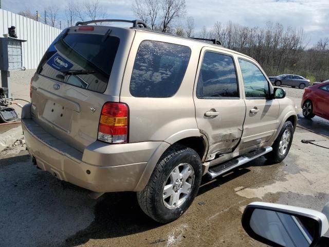 2007 Ford Escape Limited